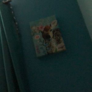 Meet your Posher, Gabriela